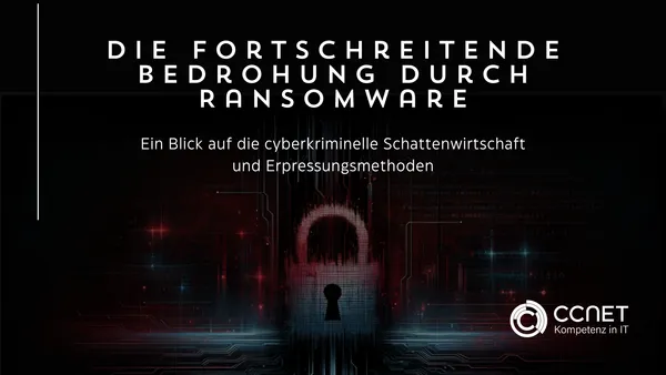 Die fortschreitende Bedrohung durch Ransomware: Ein Blick auf die cyberkriminelle Schattenwirtschaft und Erpressungsmethoden