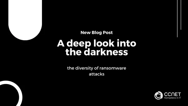 A deep look into the darkness: the diversity of ransomware attacks