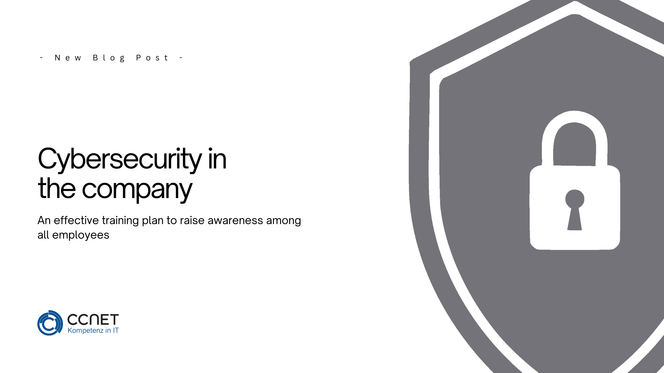 Cybersecurity in the Company: An Effective Training Plan to Raise Awareness Among All Employees