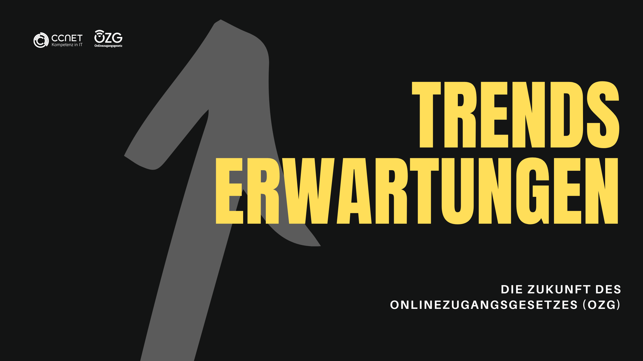 Die Zukunft des Onlinezugangsgesetzes (OZG): Erwartungen und Trends